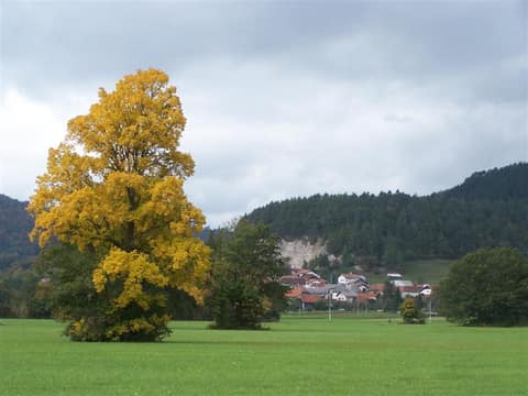 Planinsko polje