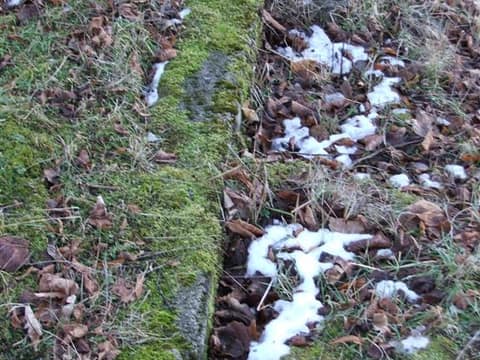 Planina nekaj slik – fotografija 5