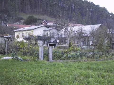 Planina – fotografija 13