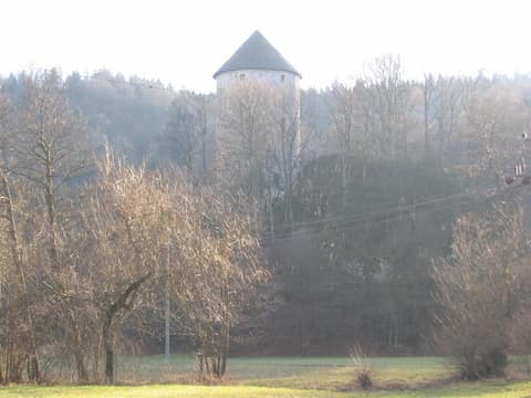 Ravbarjev stolp