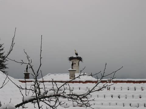 Zimska idila na velikonočno jutro 2008 – fotografija 2