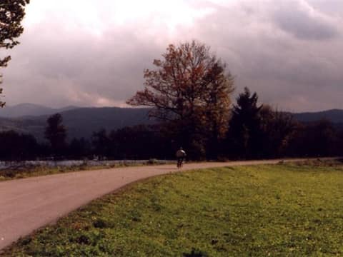 Planinsko polje – fotografija 6